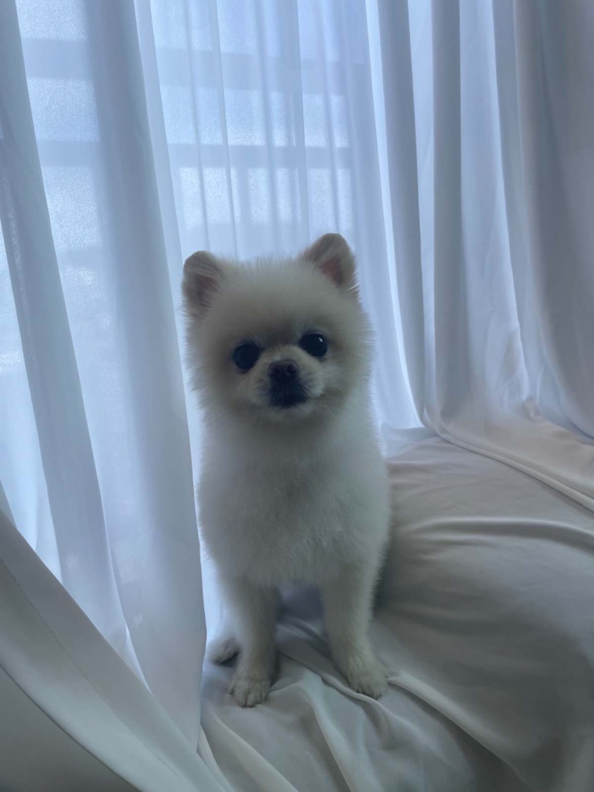 럽츄땡이땡 review