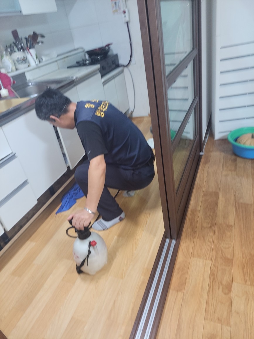 바퀴벌레 완전박멸  집안소독까지 