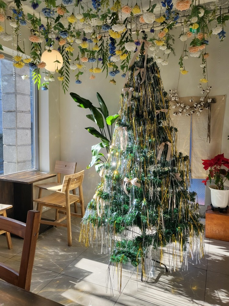 너무 예쁜 크리스마스트리를 볼 수 있는 곳🌲