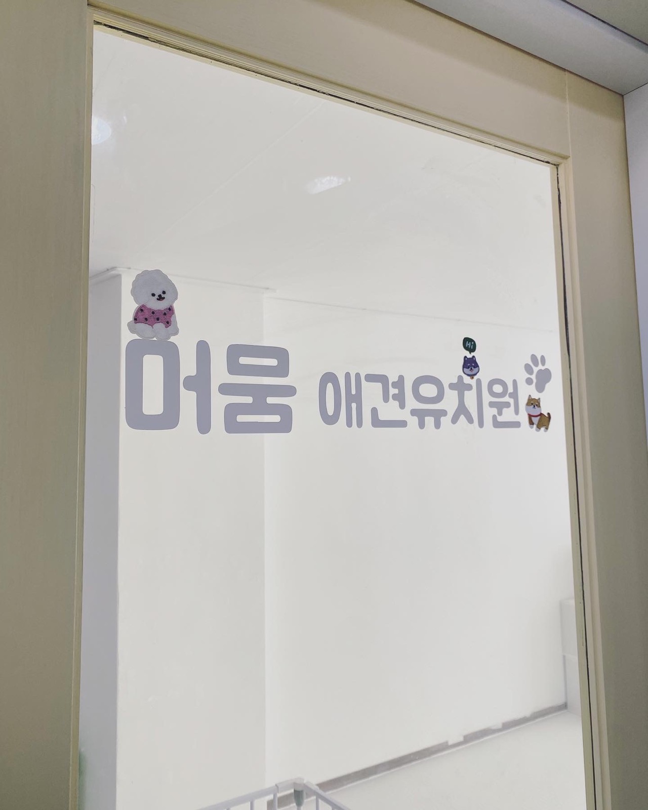 머뭄애견유치원 💛가오픈💛