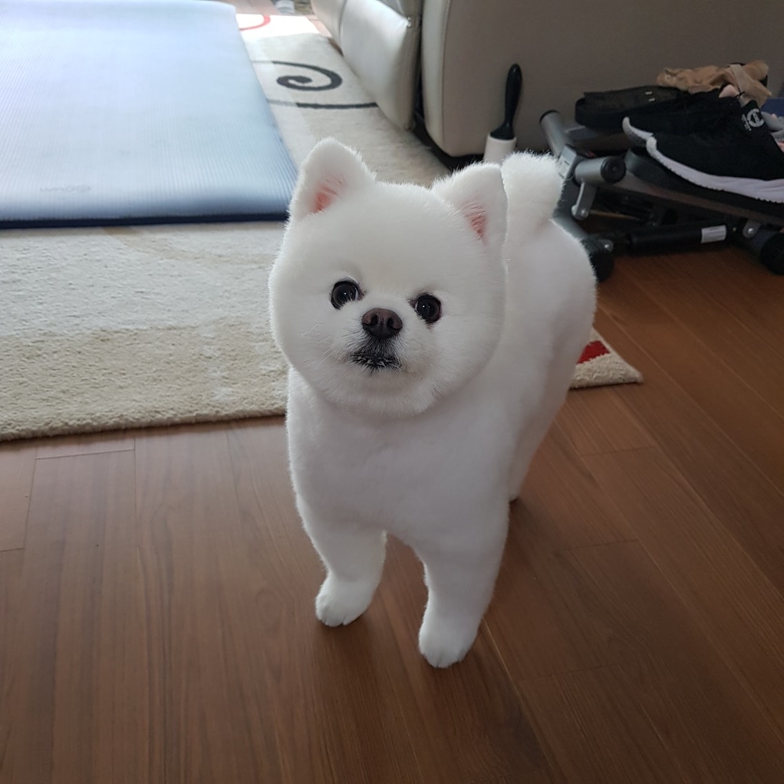 마루 review