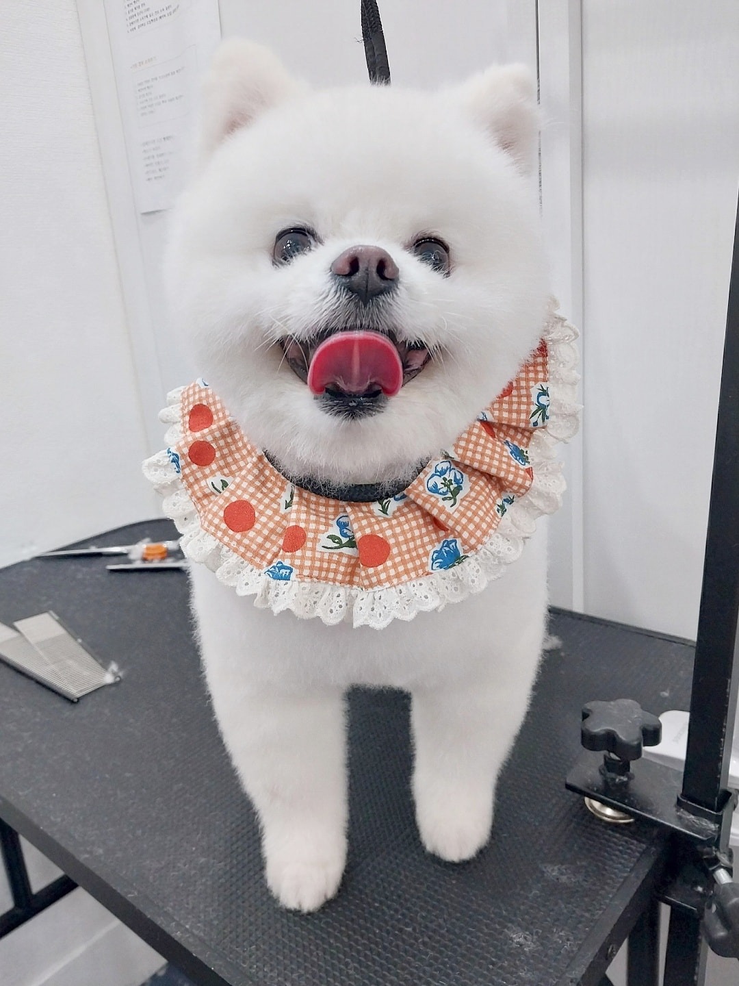 마루 review