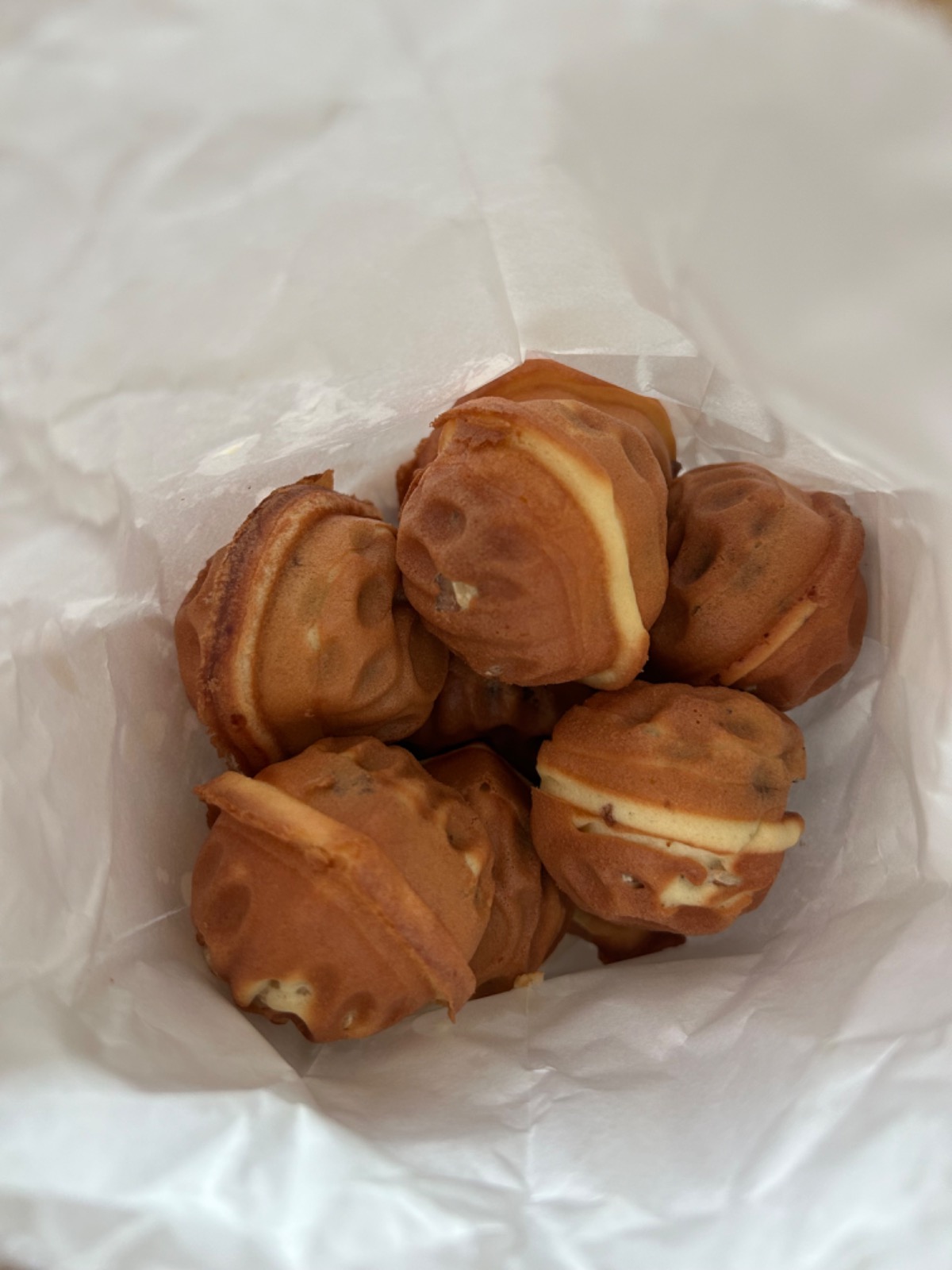 라라호두 picture 6