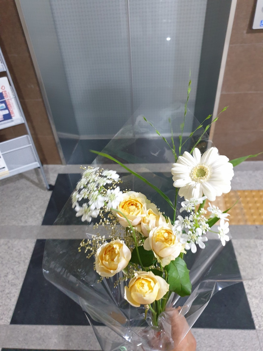코스톨라니 review