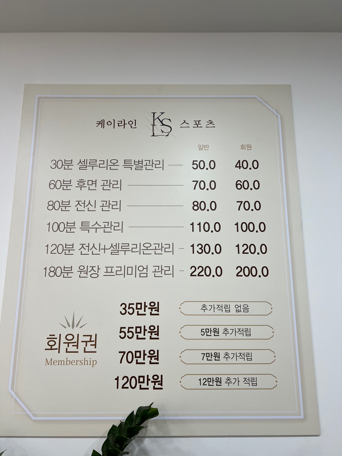 케이라인스포츠 picture 1