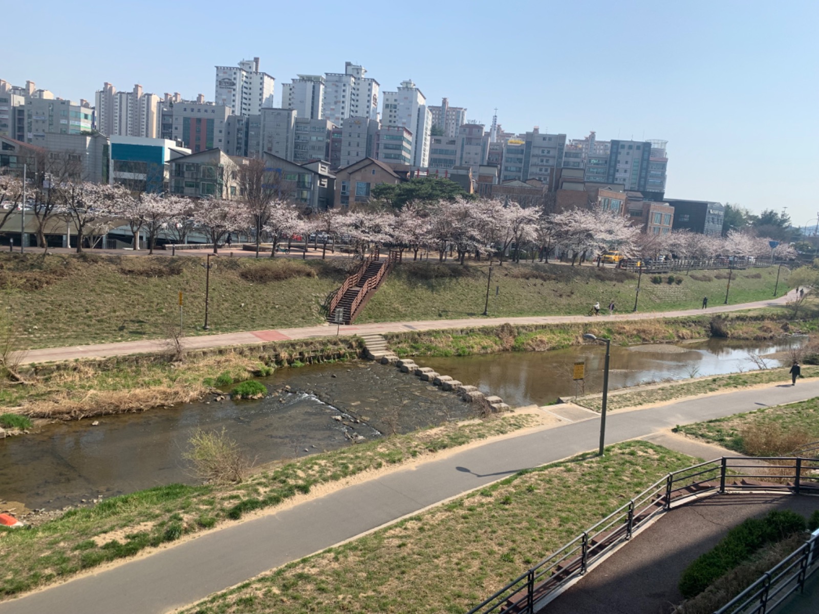 쏘렐라파스타 죽전점 봄맞이 기념이벤트