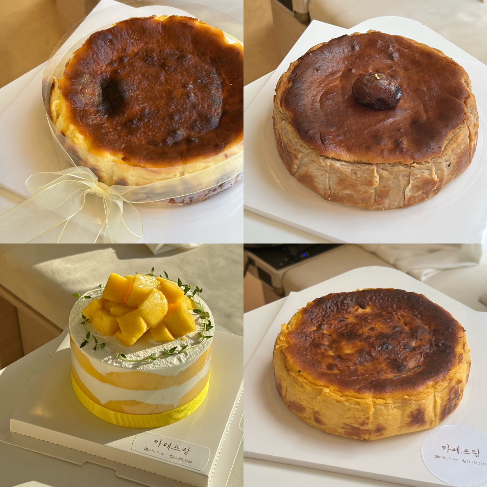 🎂홀케이크 예약 안내🎂