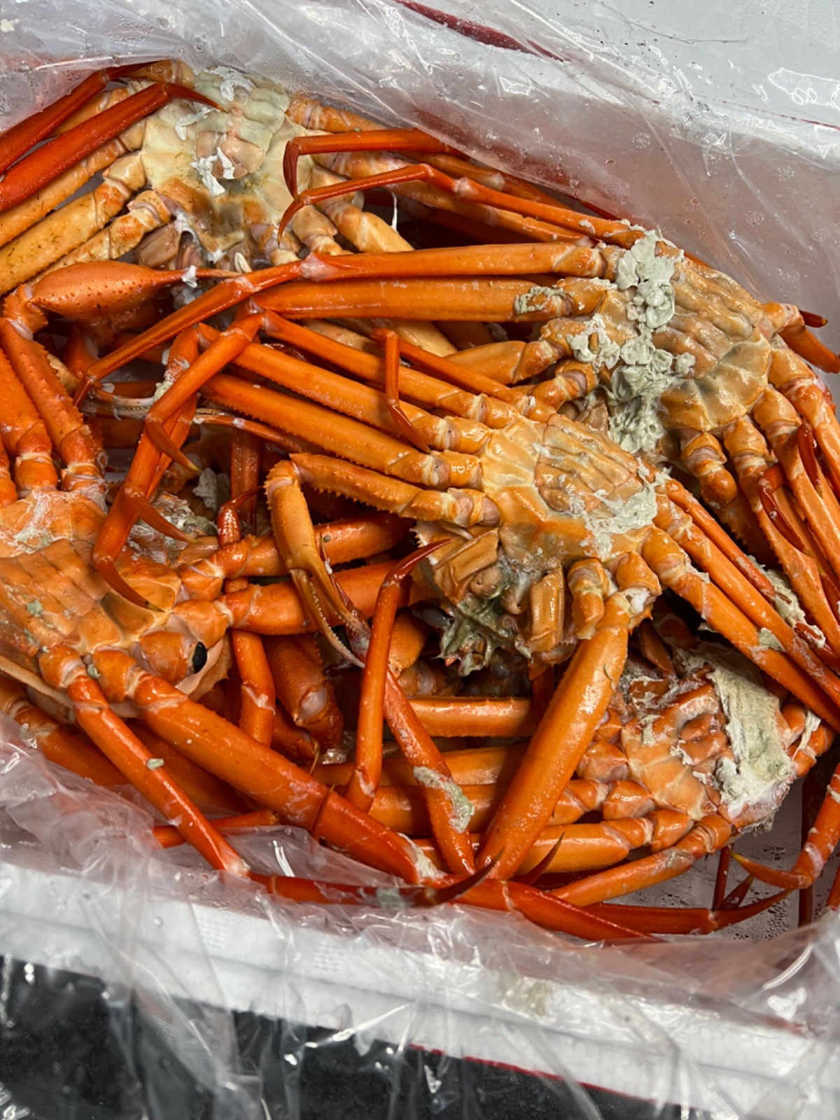 태산수산 picture 1