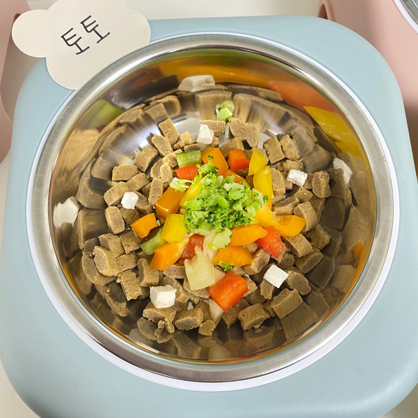 머뭄 애견유치원 picture 3