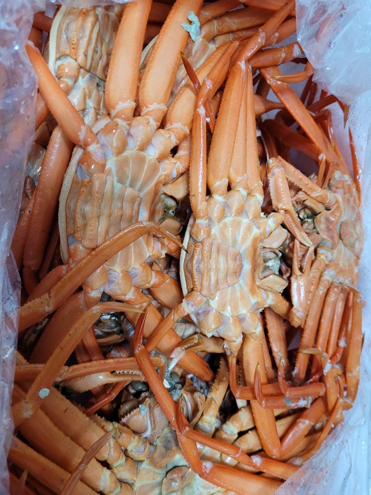 태산수산 picture 5