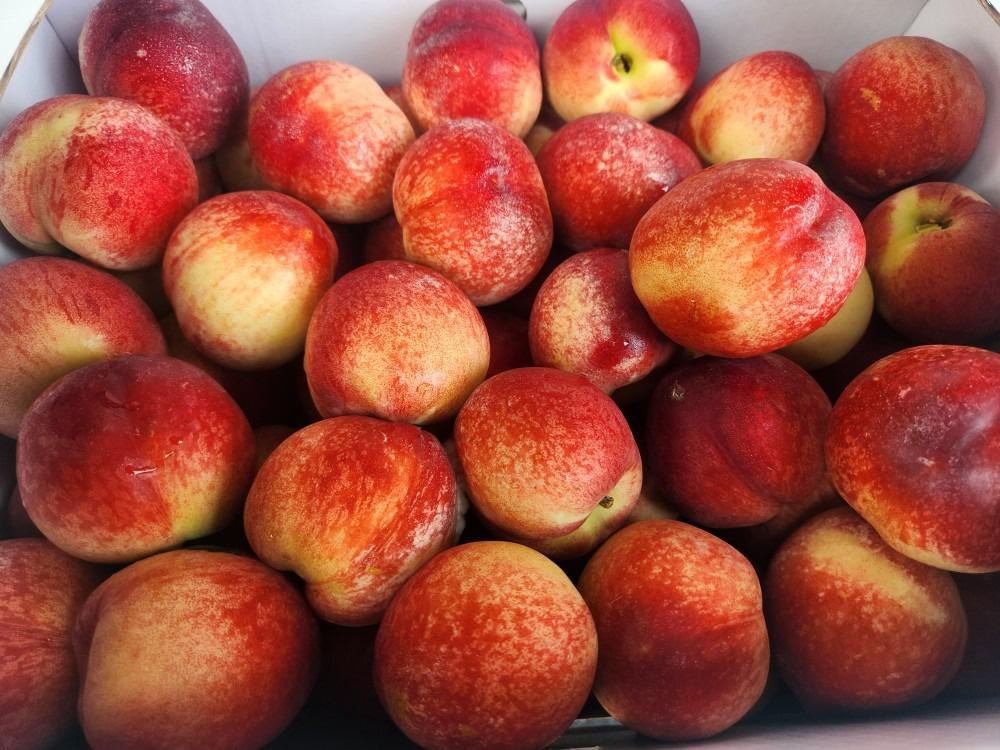 53 58 5kg 22000 1 53-58-5kg-22000-1