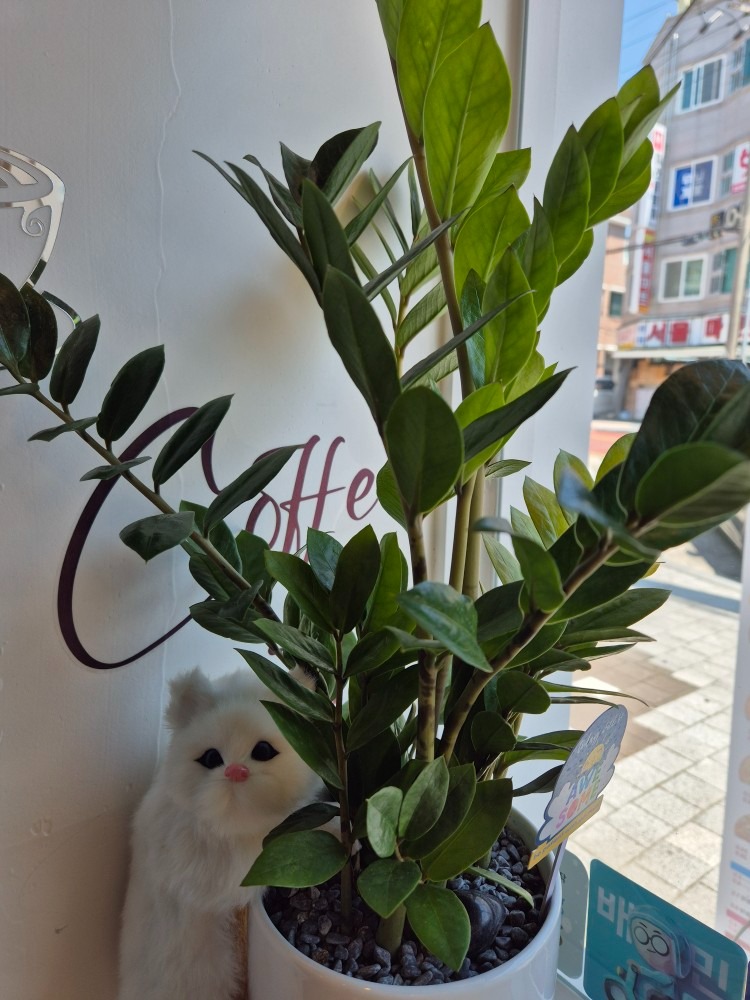 오늘 말복이라네요^^부모님과 함께 가볍게 피자로!!