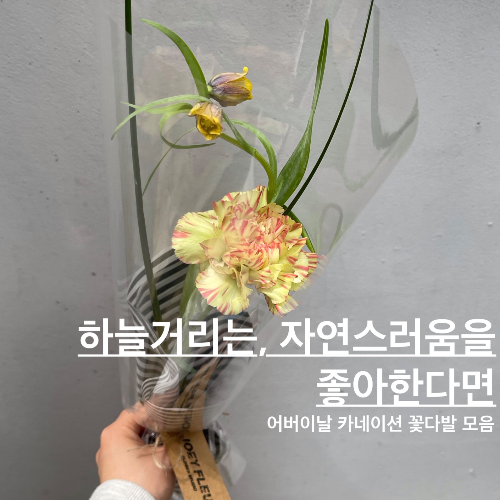 어버이날 카네이션 꽃다발 