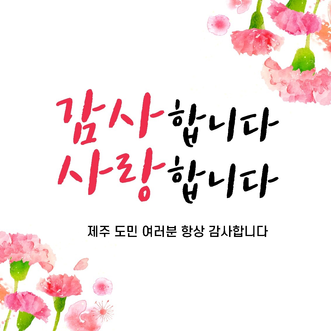 된다! 된다! KCTV는 싸게 다된다! 기가인터넷, 유선방송, IPTV 다된다. | 제주특별자치도 제주시 연동 | 통신판매 | 당근  비즈 소식