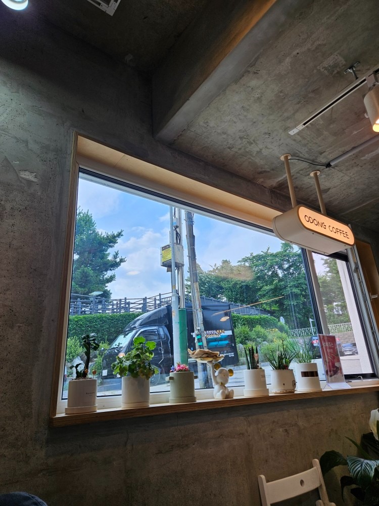 오동커피 picture 1