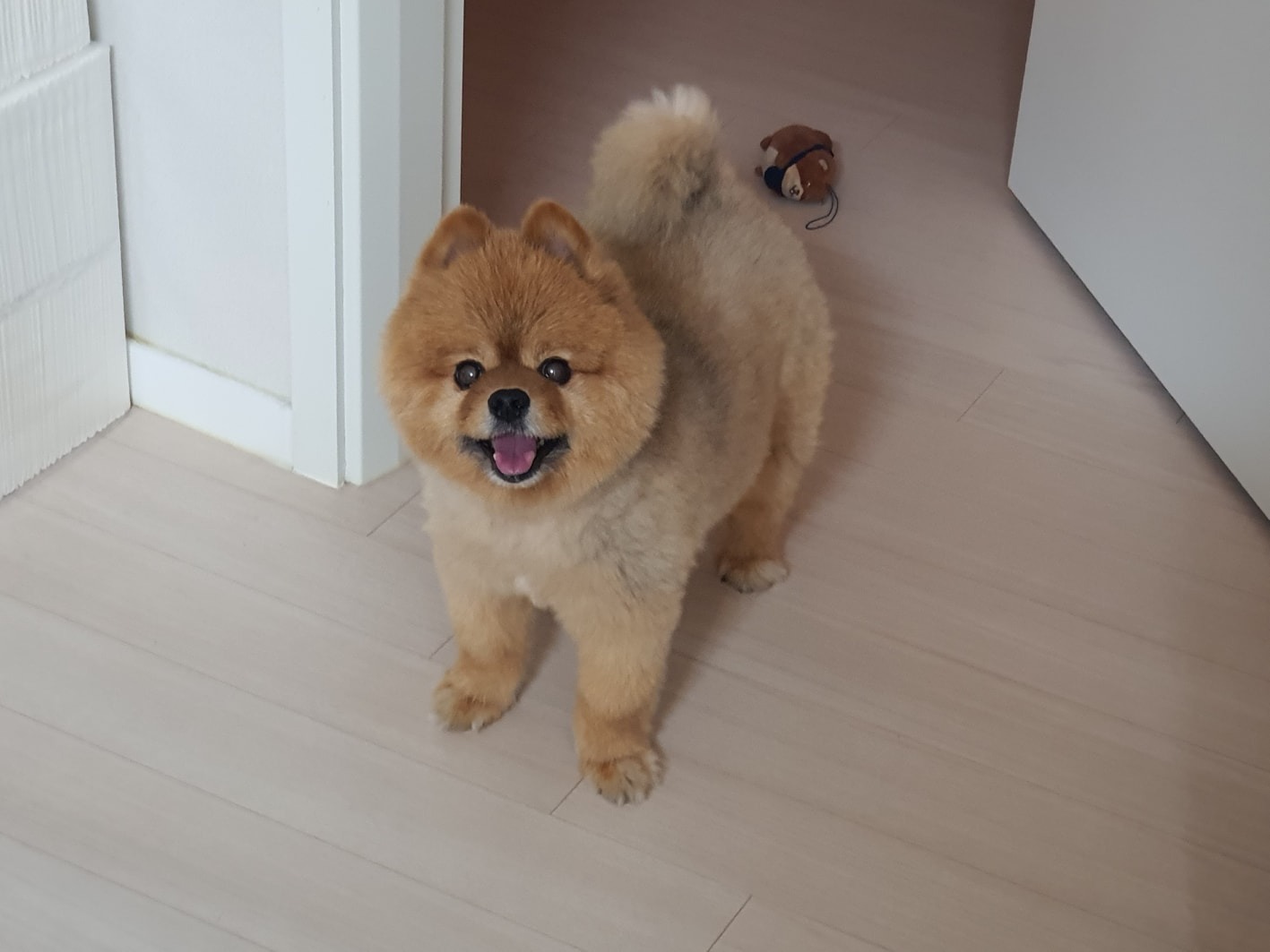 다움동물병원  picture 1