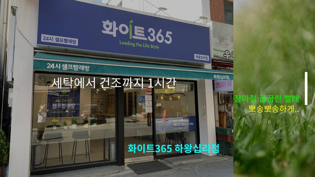 장마철 꿉꿉한 빨래… 뽀송뽀송하게-화이트365 하왕십리점