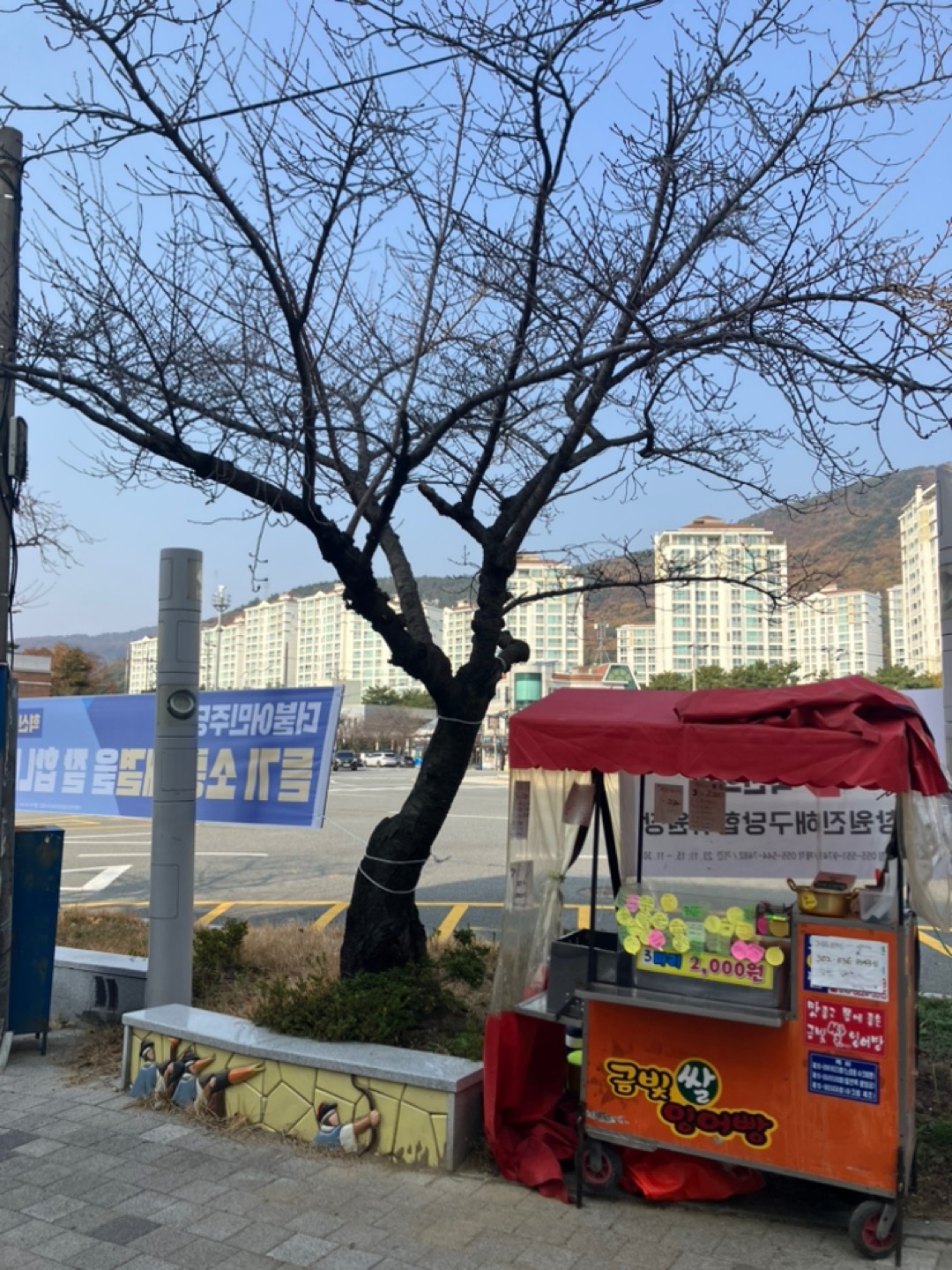 꽃바람붕어빵 picture 3
