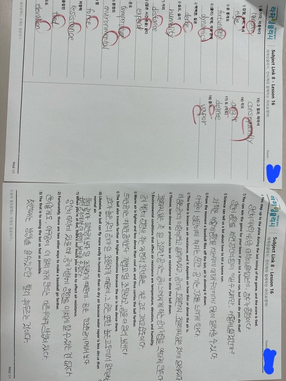 라하잉글리시 picture 5