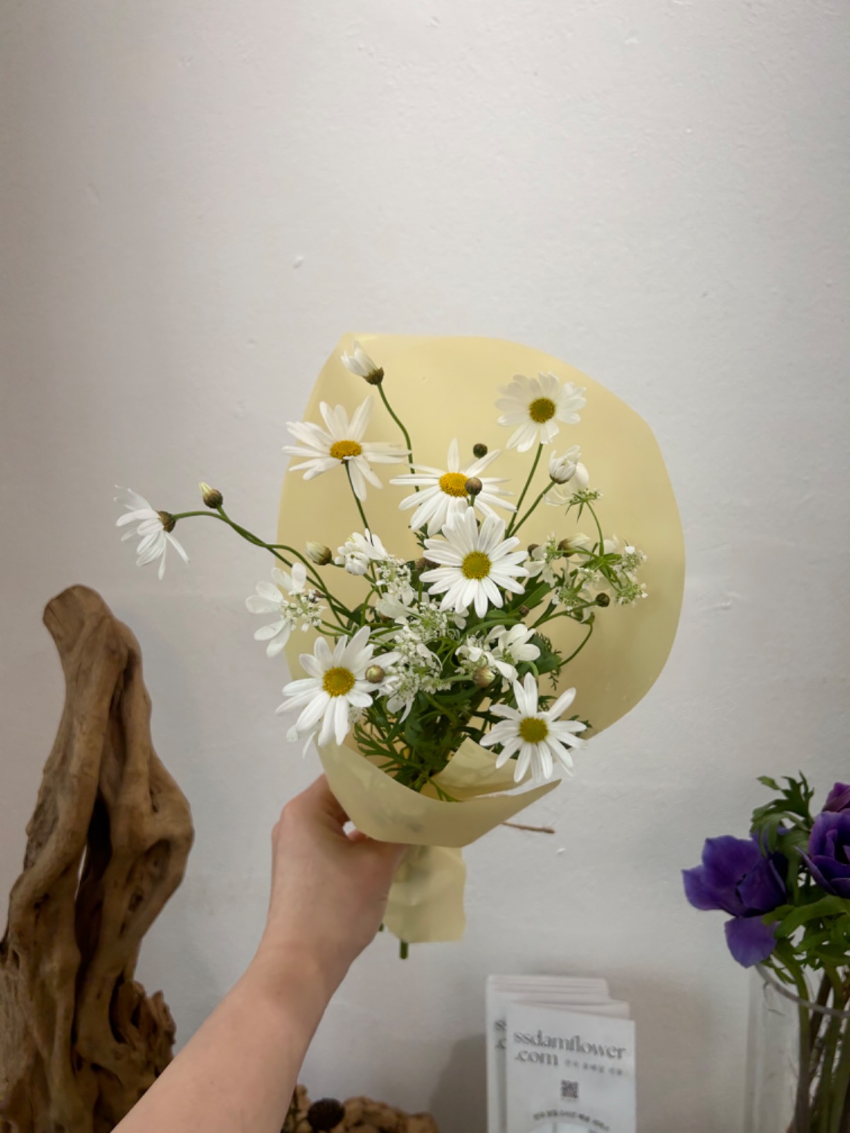 오늘의 꽃 (마가렛) 무료로 드려요 ! 