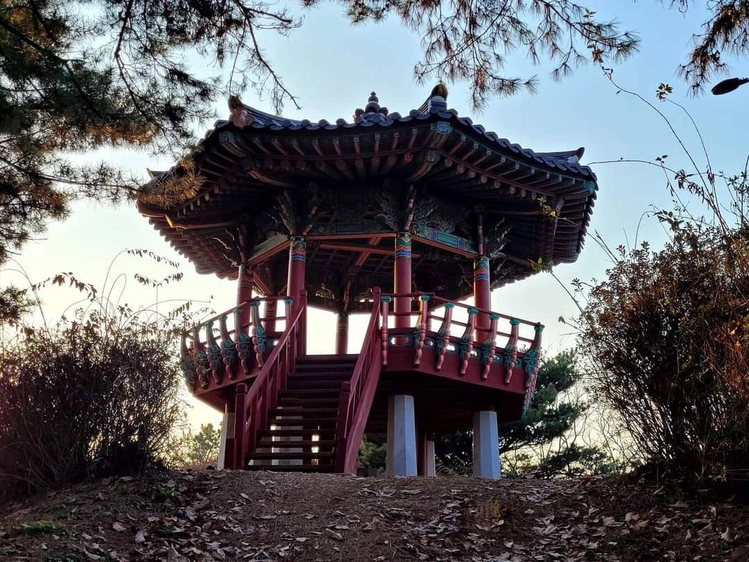 전통팔각정자_단청보수작업_마지막이야기 | 충청북도 청주시 청원구 내수읍 | 가죽/목공/도예클래스 | 당근 비즈 소식