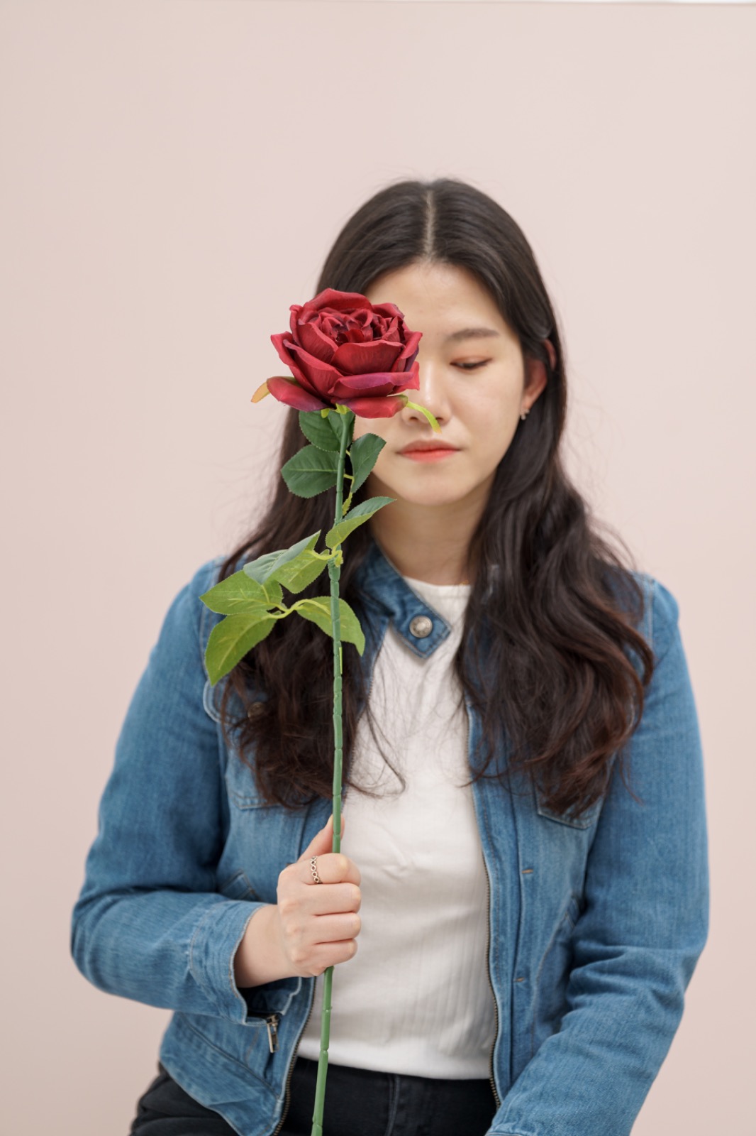 로즈마리 review