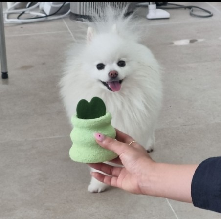 가든 플라워 세종청사점 picture 9