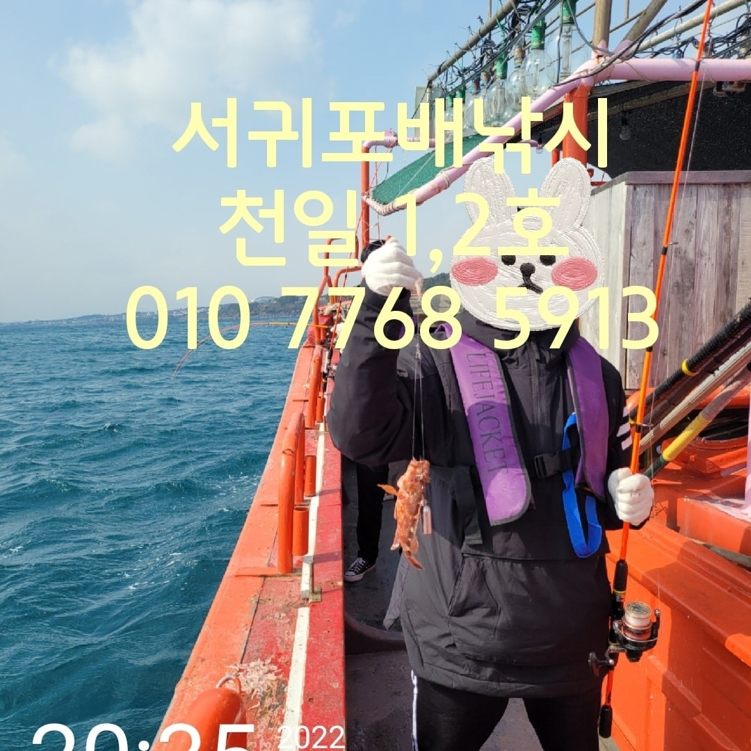 f140b80492f5148c224a29b5c2b39058fc54abb9bee1f708f043e8ae1da8f7f3.jpeg?q=95&s=1440x1440&t=inside