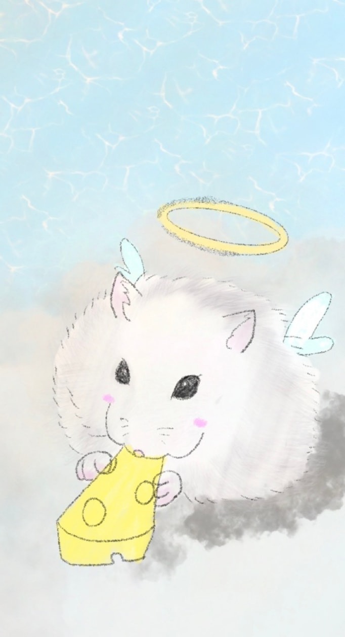 쿠곰 review