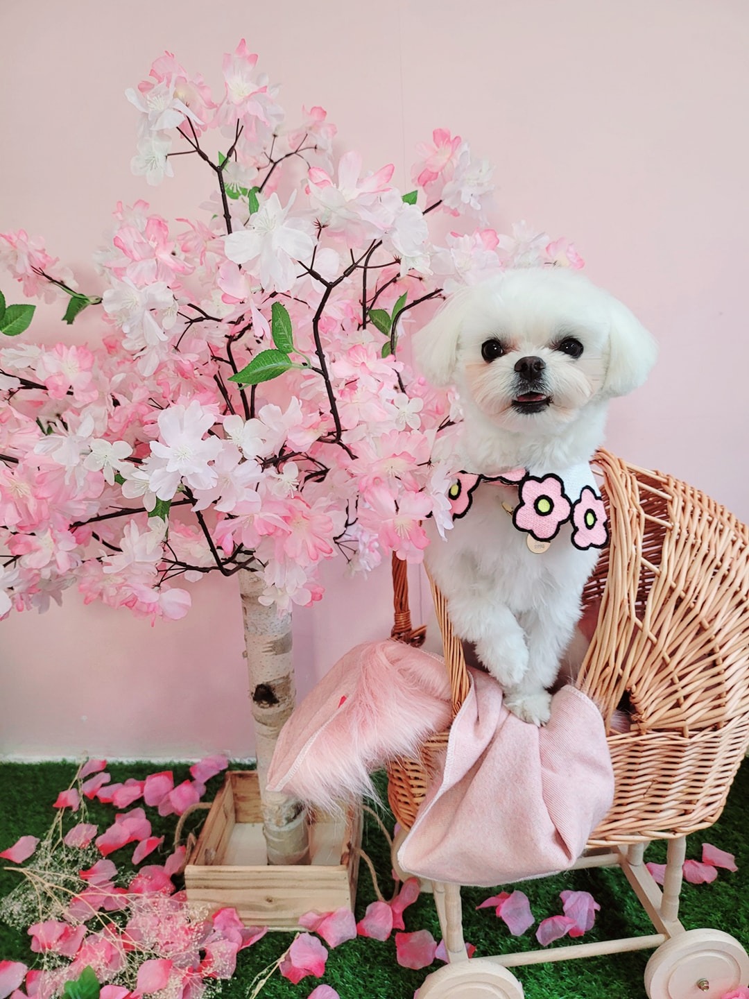 오늘의 사랑둥이들~😊