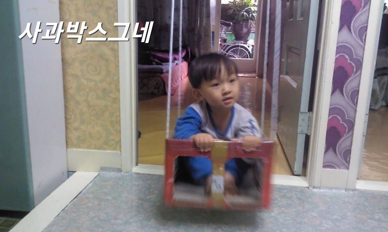사과박스그네 