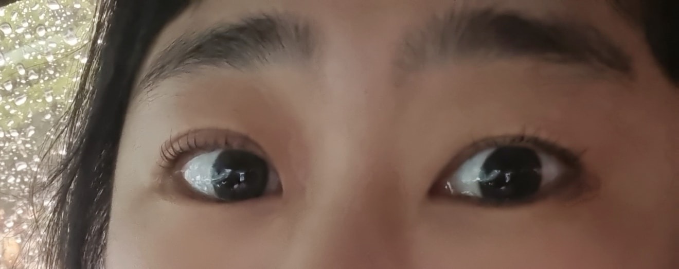 샵그리다 picture 6