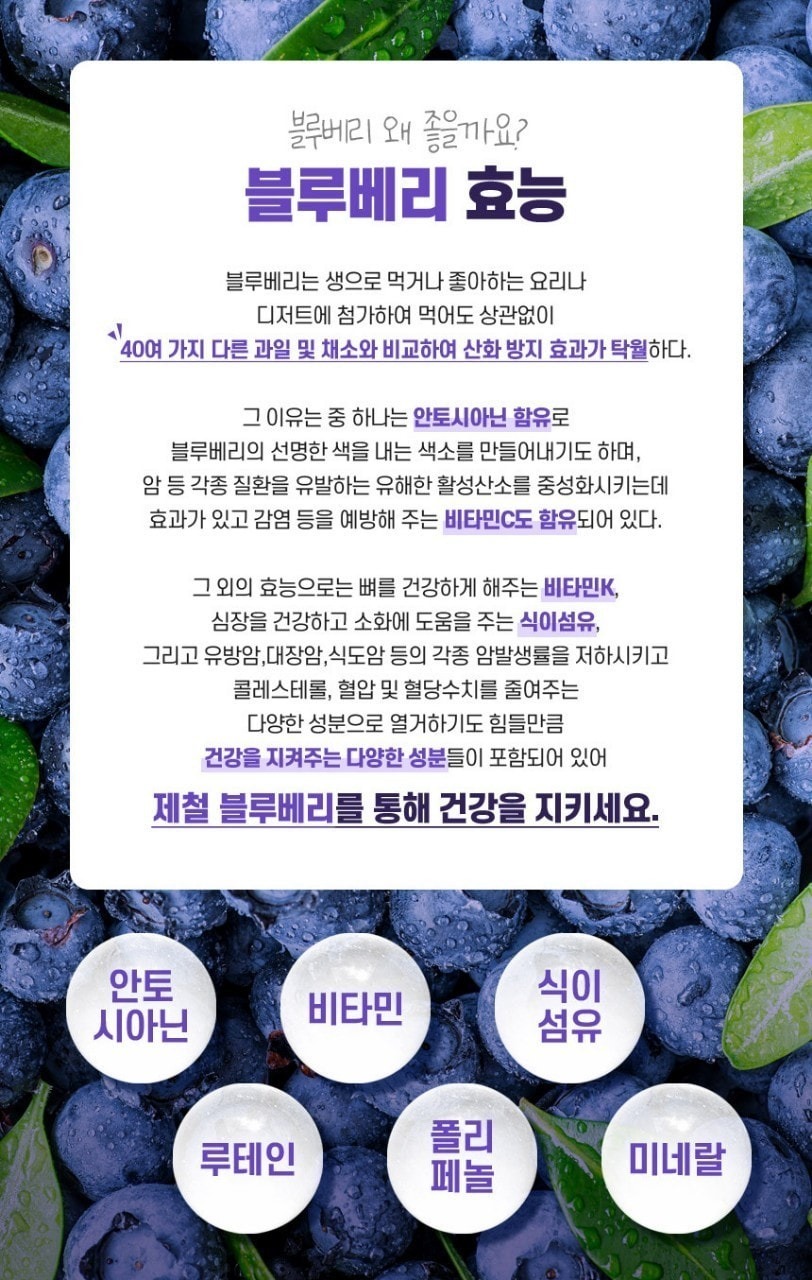 블루베리의 7가지 효능, 효과, 부작용 요약