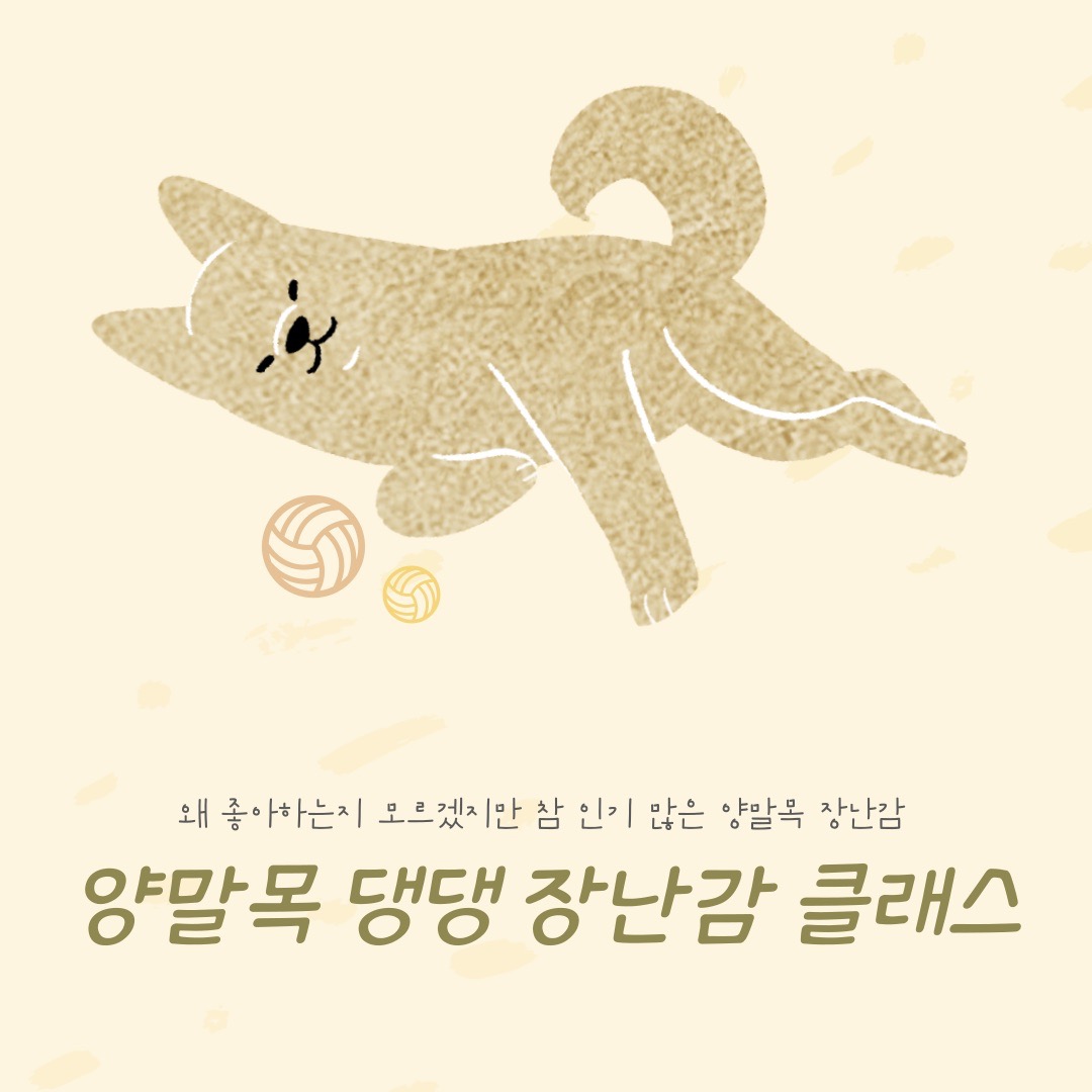 양말목 강아지 장난감 클래스 모집합니다🐶