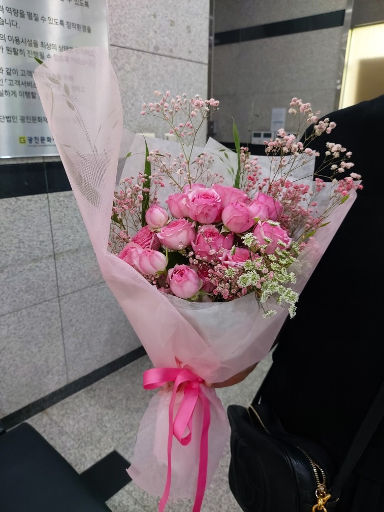 플라스티코 플랜트 picture 2