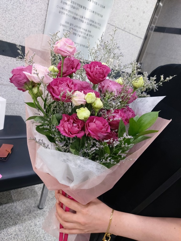 플라스티코 플랜트 picture 3