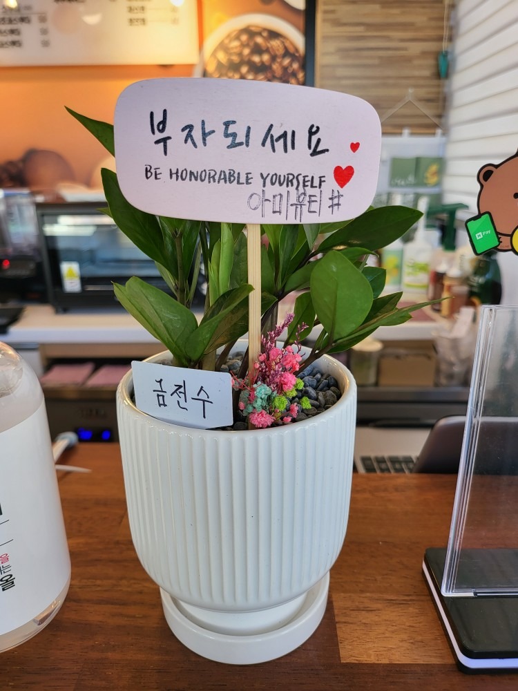 카페니도 picture 4
