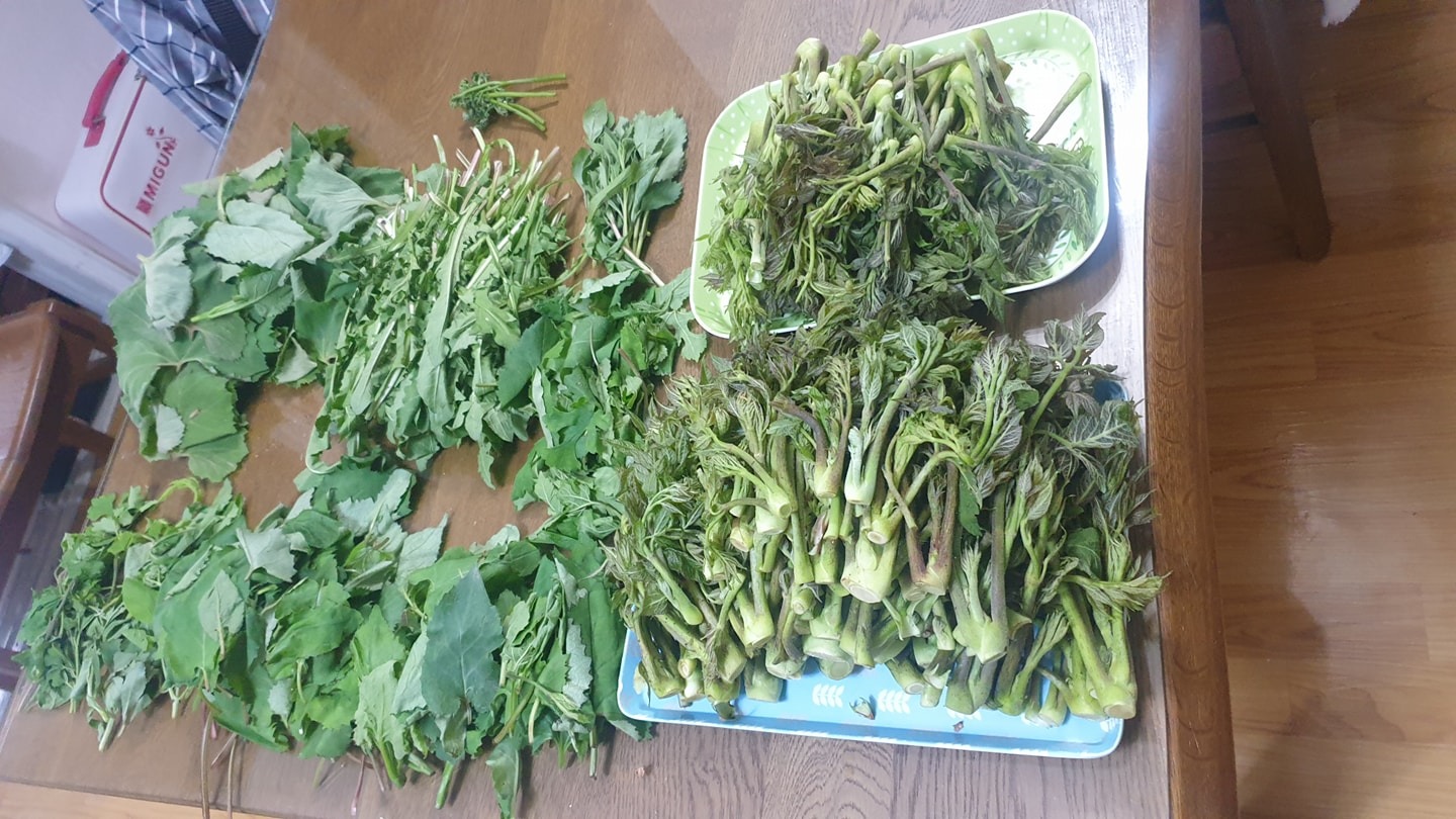 가평 picture 1