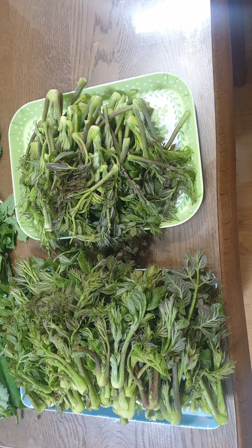 가평 picture 2