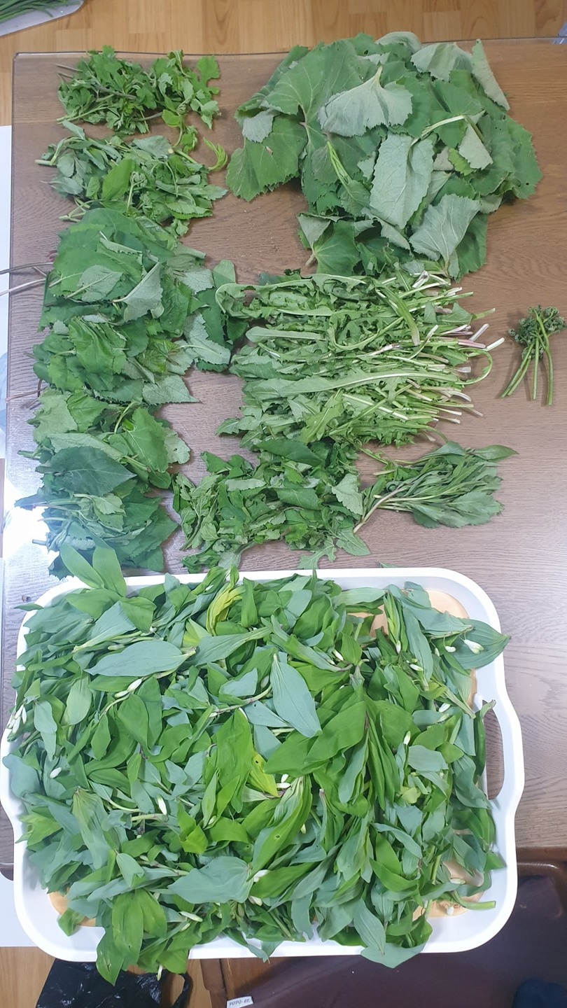 가평 picture 4