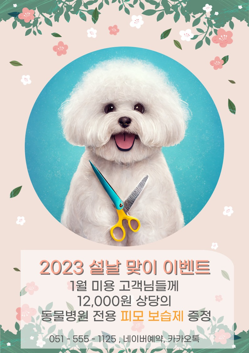 1월 미용 이벤트