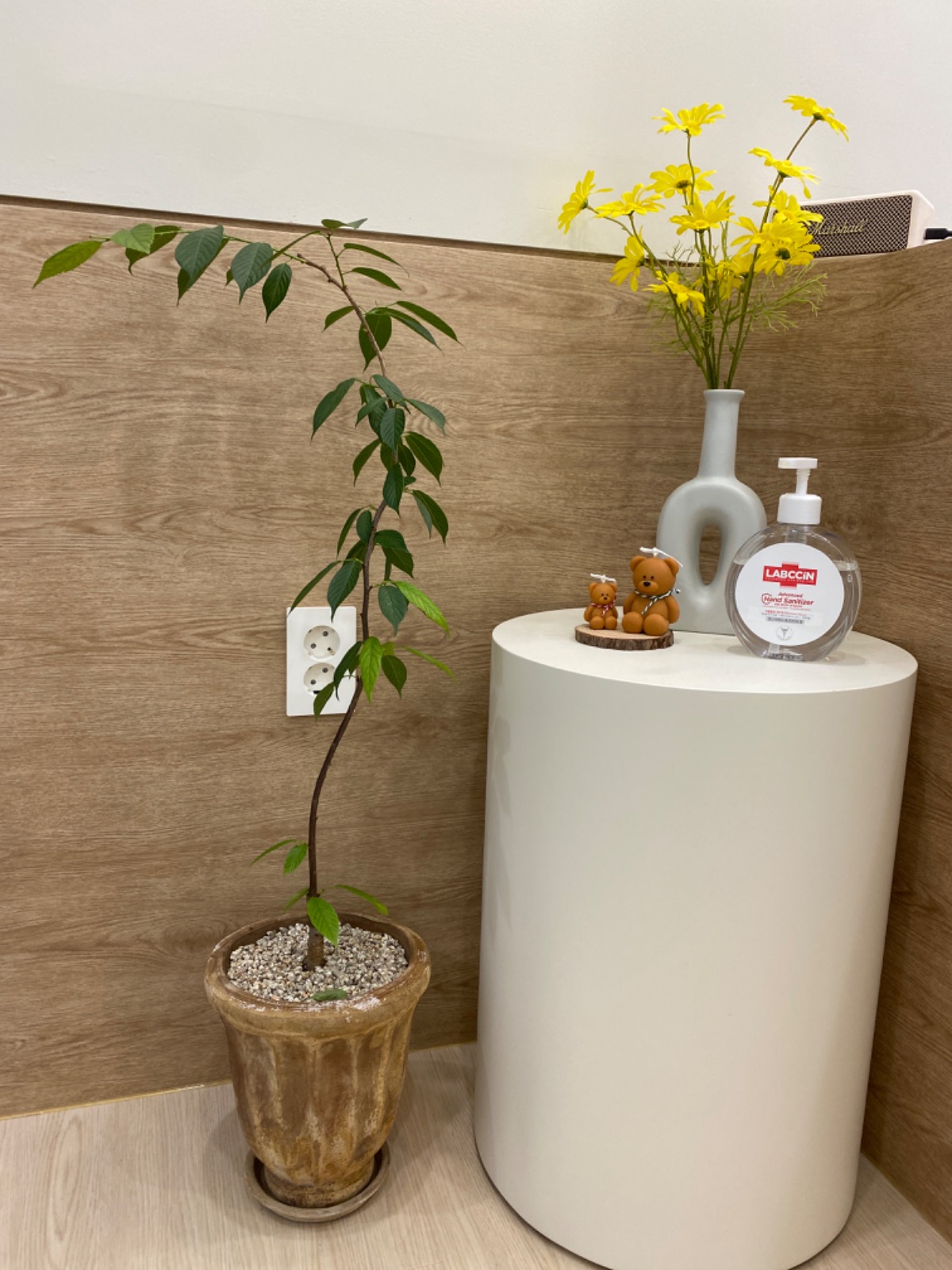 쉼필라테스 2호점 picture 6