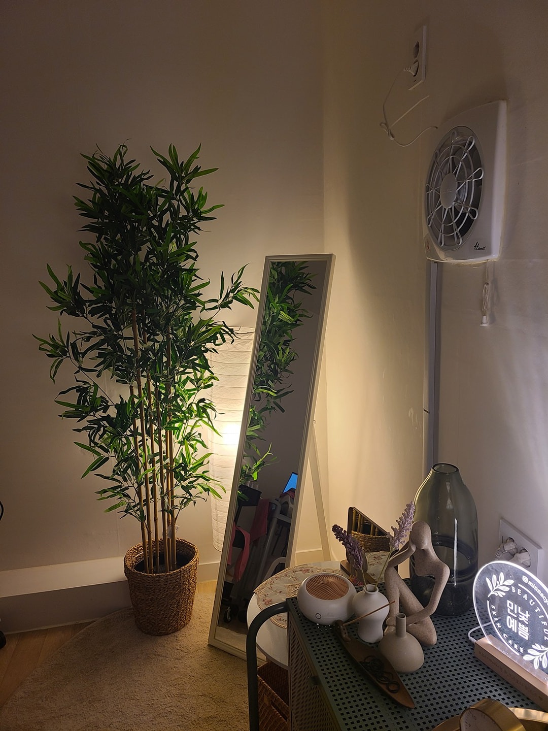 꿀꿀냥냥 review