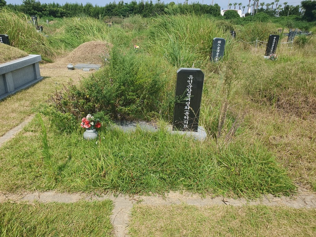북촌 잔디관리 예초작업 가족 공동묘지 벌초 | 제주특별자치도 제주시 이도2동 | 예식/의례/관혼상제 | 당근 비즈 소식