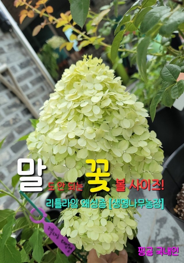생명나무농장 picture 1