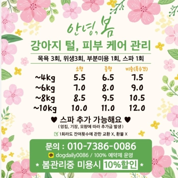 ♡거제동 애견미용실♡ 도그데일리♡