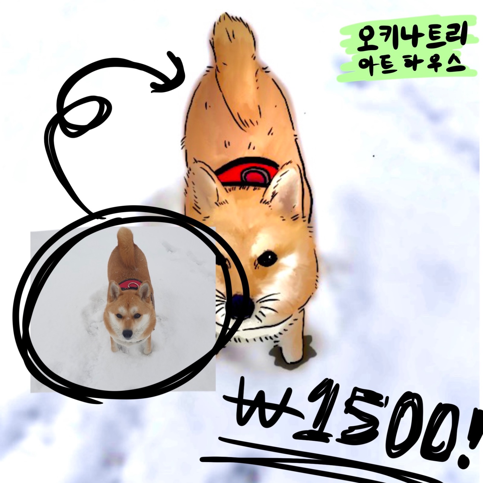반려동물들과 유쾌한 추억 만들어가세요~