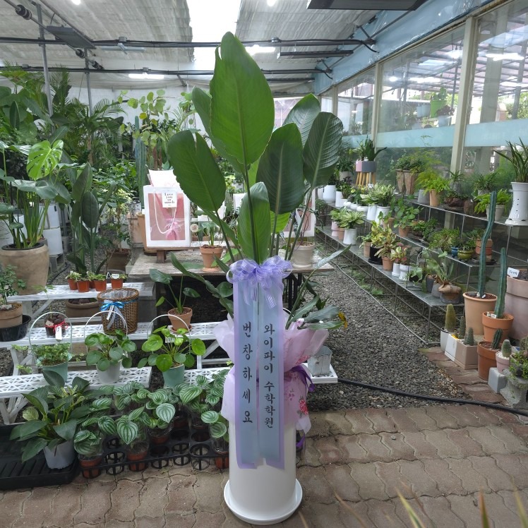 학원 오픈축하 선물🌿