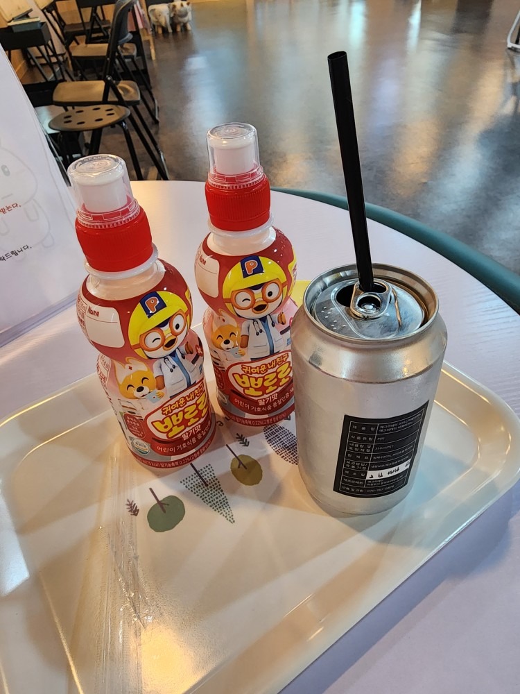 차차래빗 토끼카페 & 강아지 picture 4