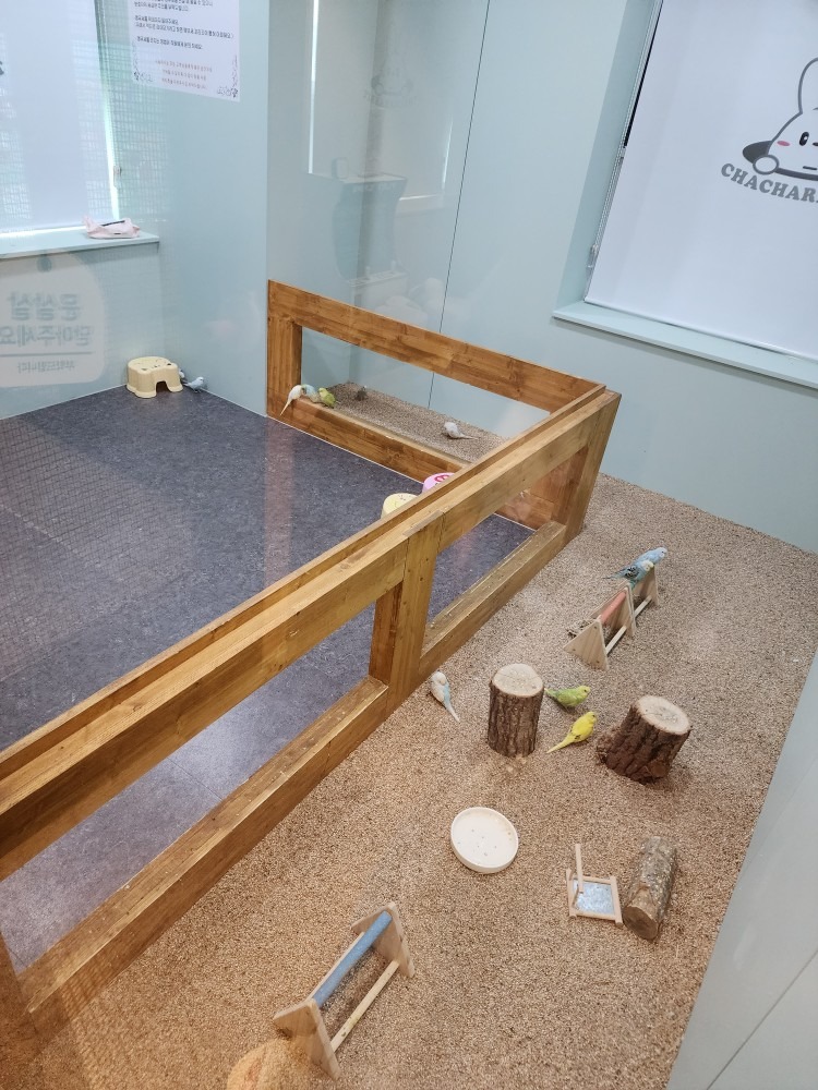 심쿵맘 review